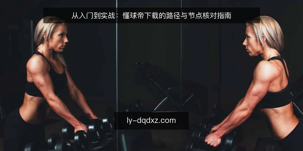 从入门到实战:懂球帝下载的路径与节点核对指南 — 准备阶段:明确设备与网络环境 配图