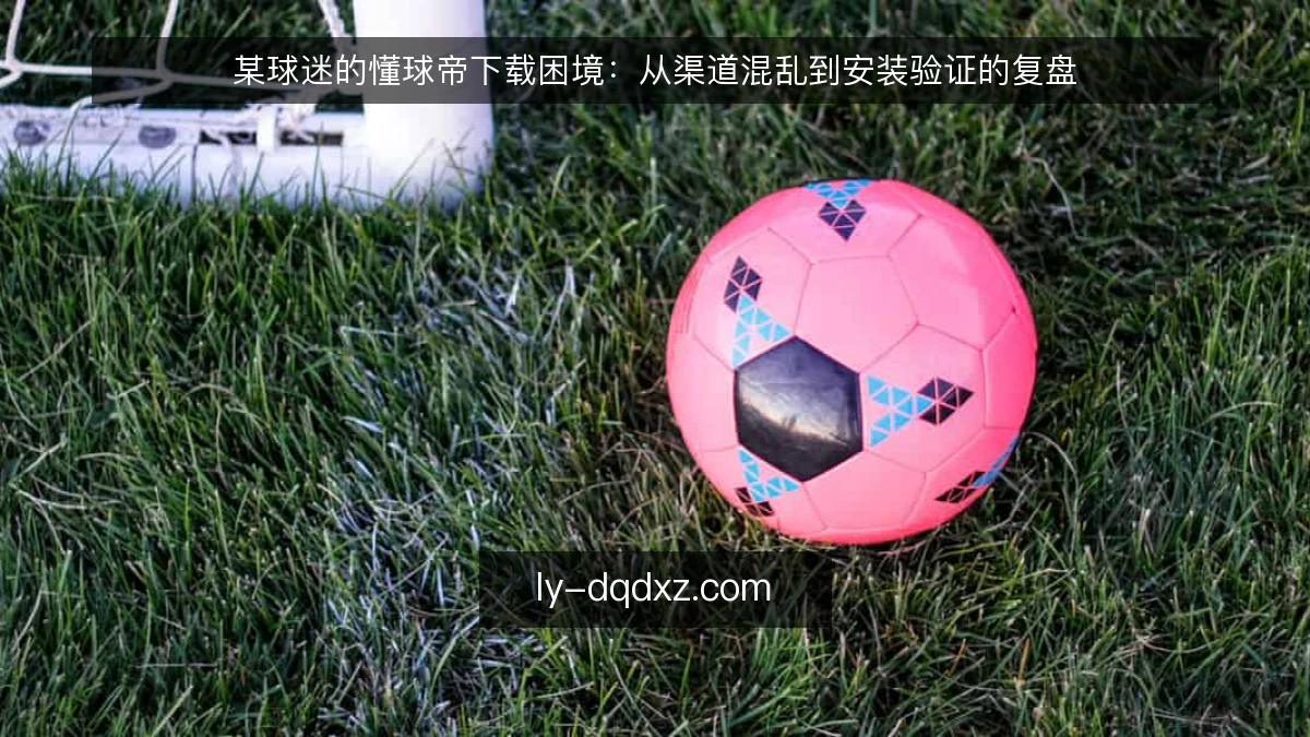 某球迷的懂球帝下载困境：从渠道混乱到安装验证的复盘