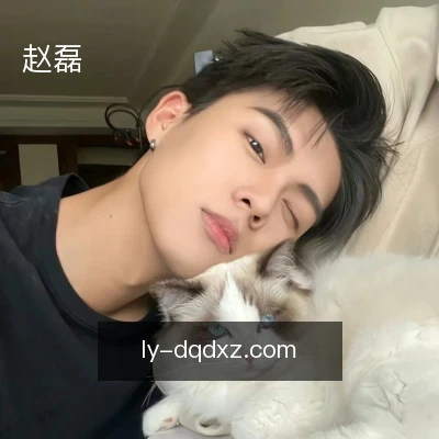 赵磊